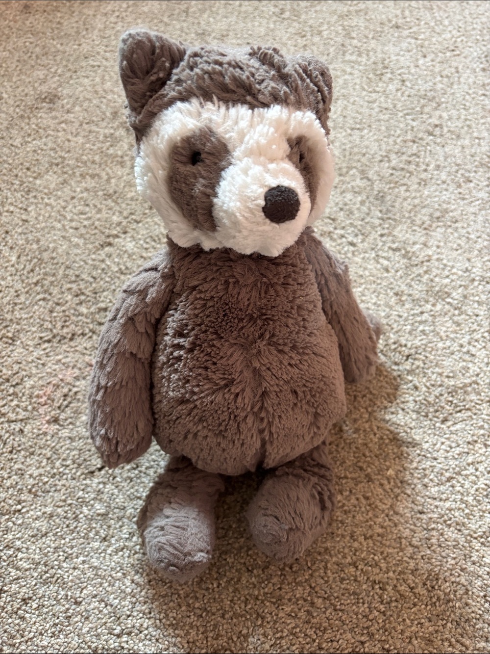 Raccoon jellycat